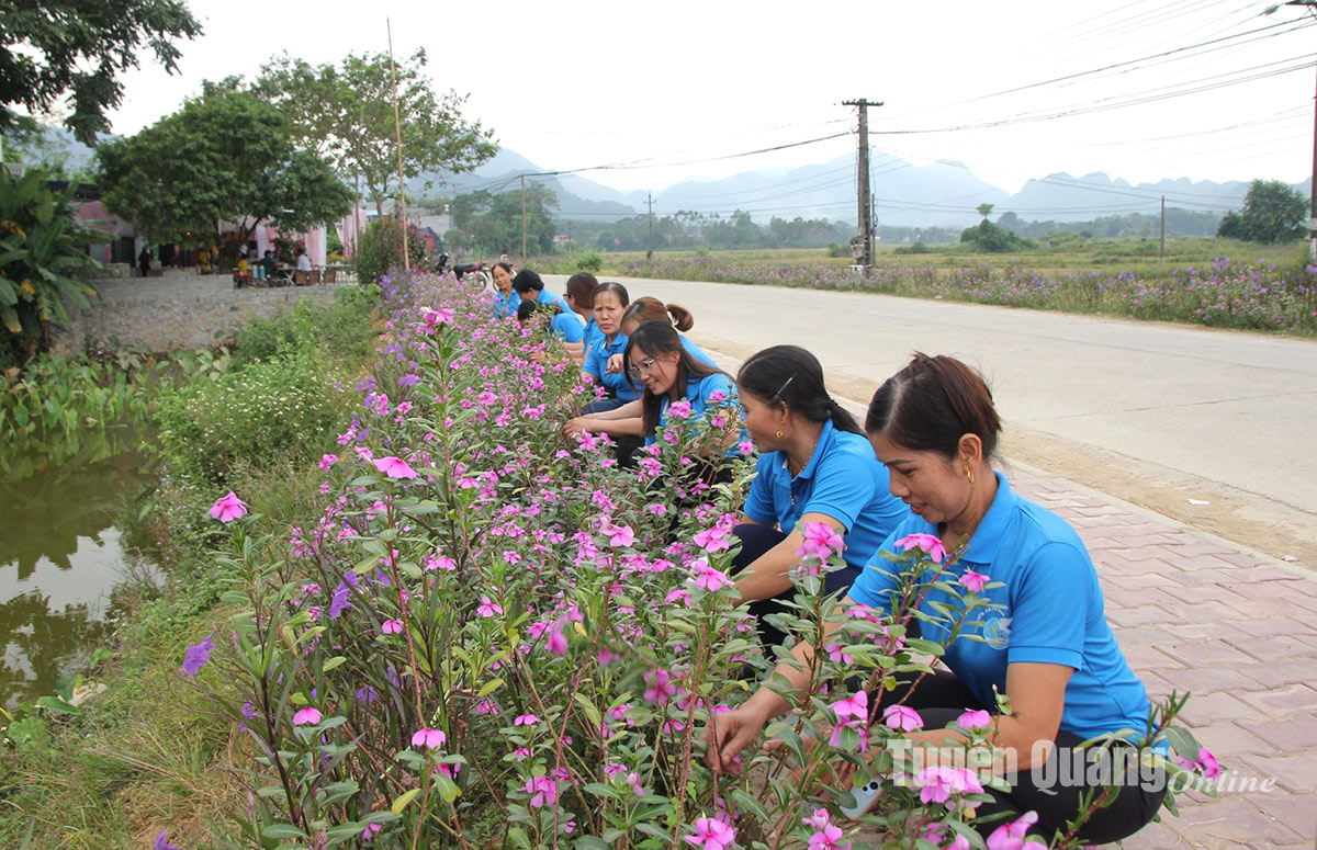 Flower routes in Son Duong
